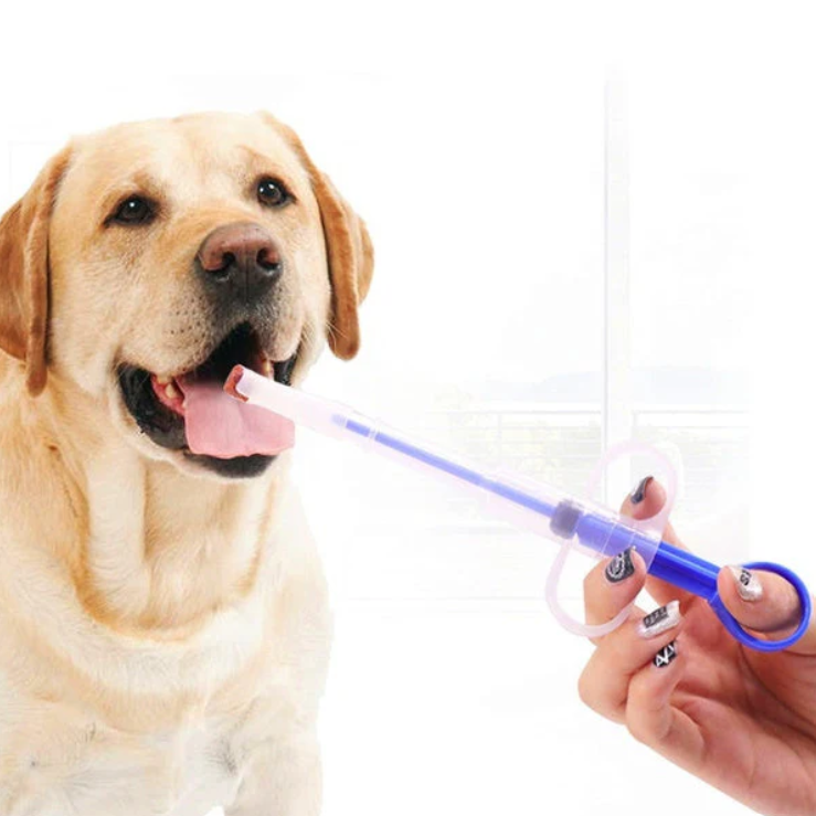 Pet Feeding Injection – Mypetfoodstore