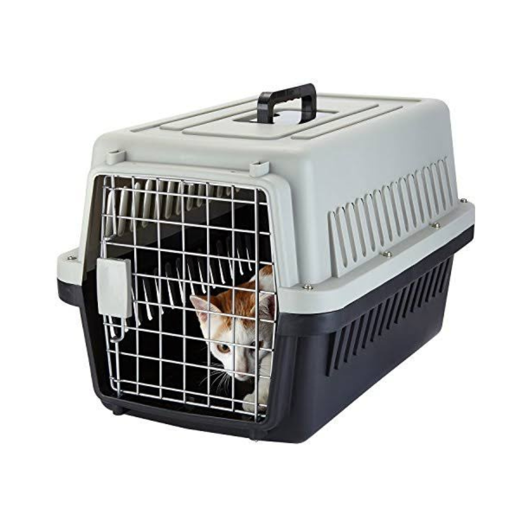 Jet Box Imported High Quality – Mypetfoodstore